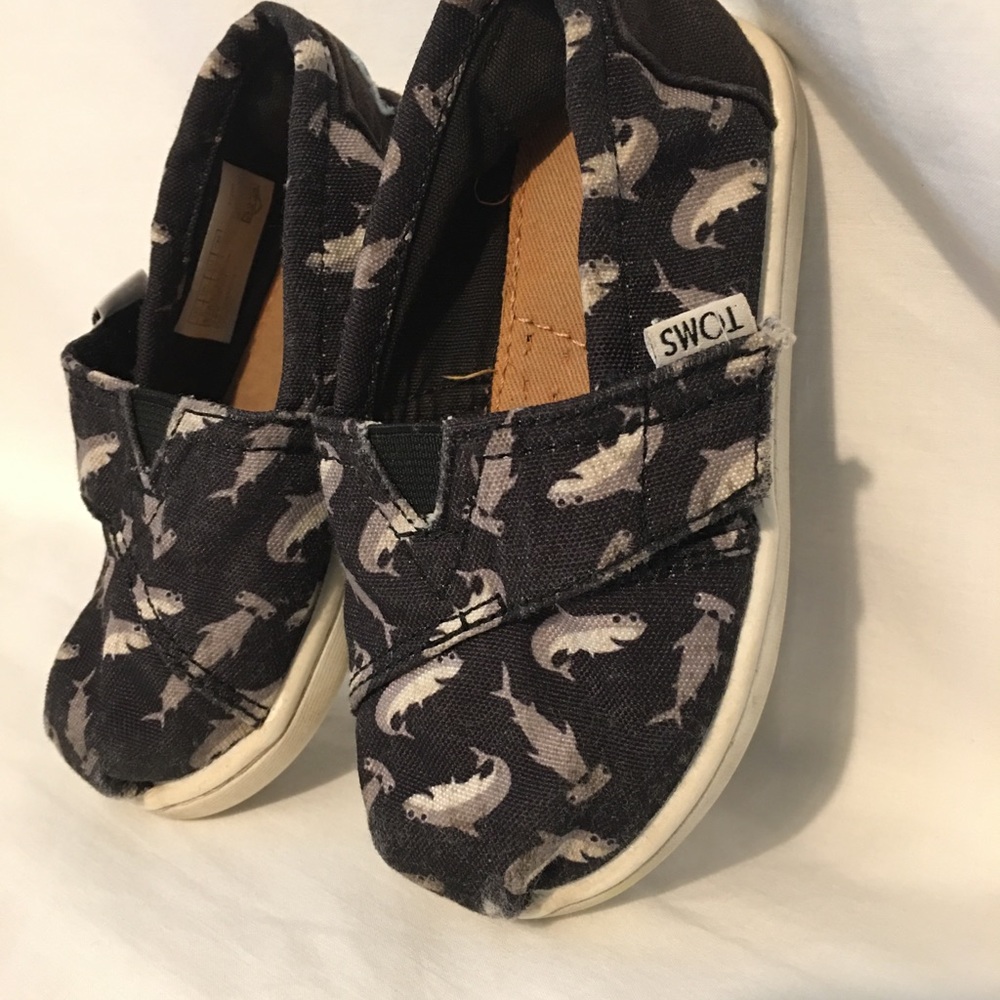 Toms for Toddler Boy with Shark Print